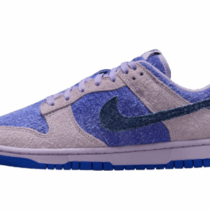 Buty Nike Dunk Low Retro HQ3431-515